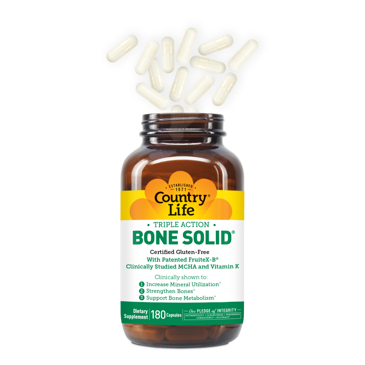 Bone Solid®