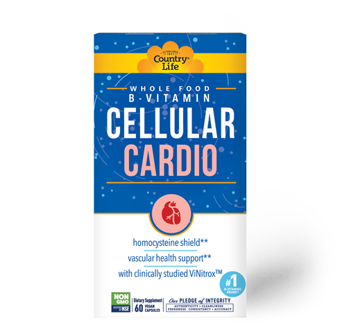 Cellular B – Cardio