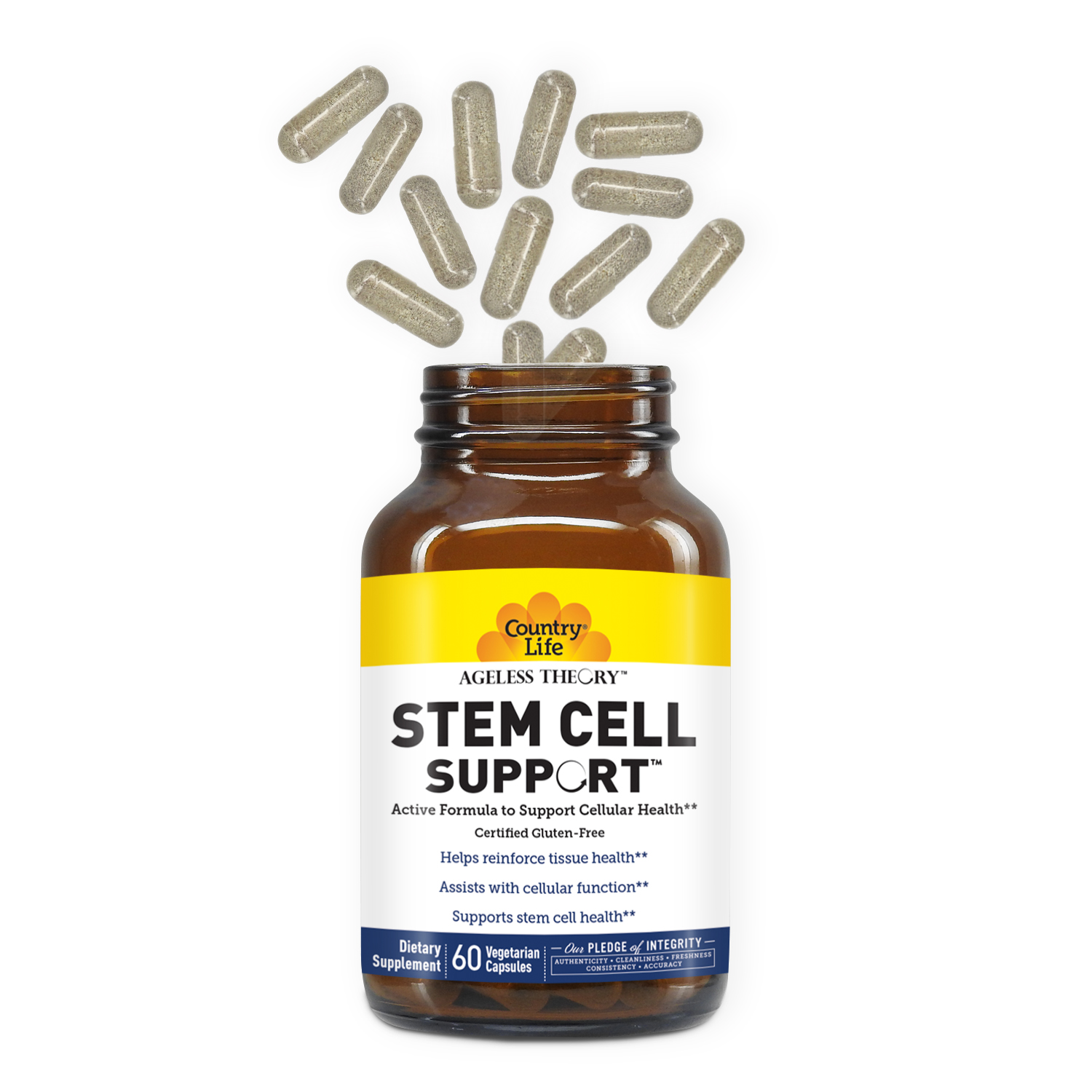 Ageless Theory™ Stem Cell Support™